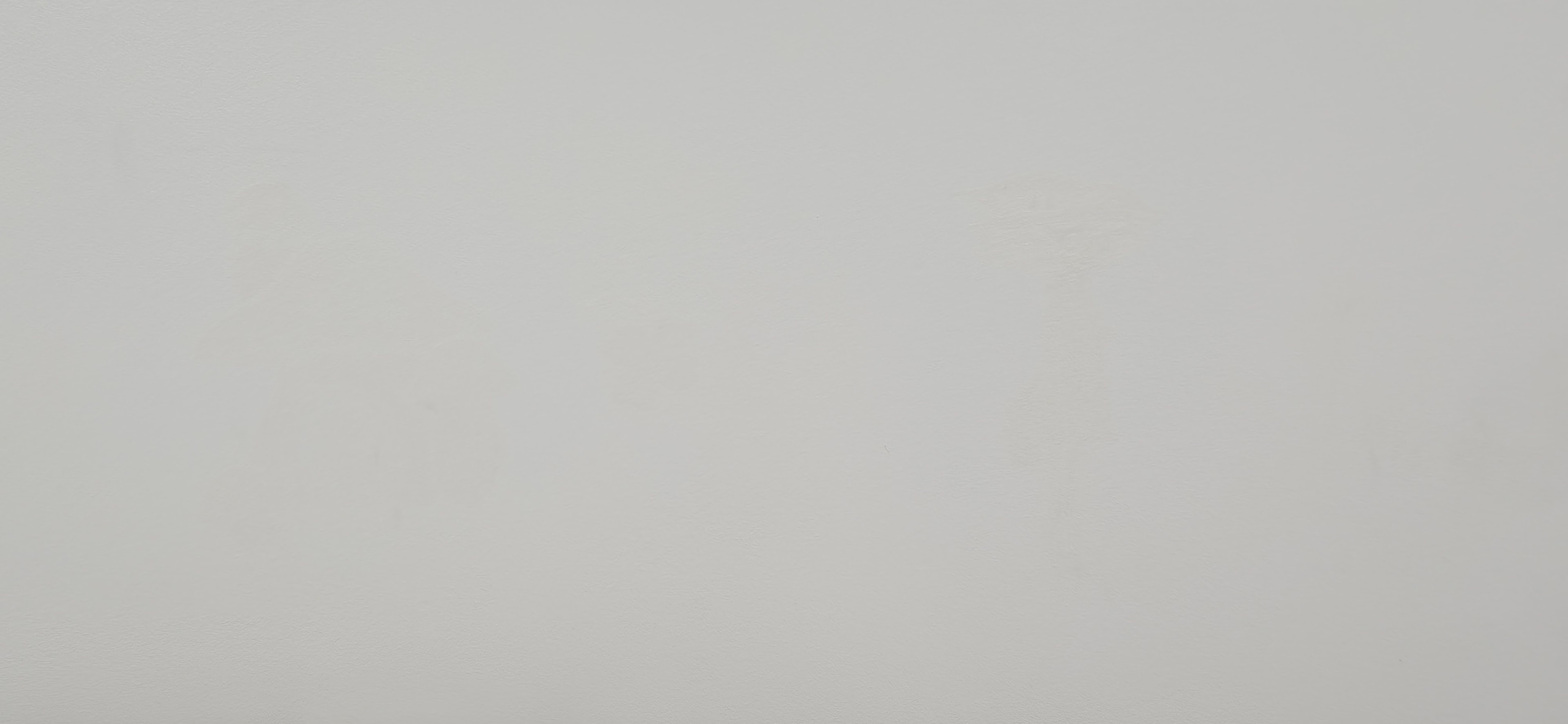 Plain grey wall before the Fantasy Room mushroom village mural was painted