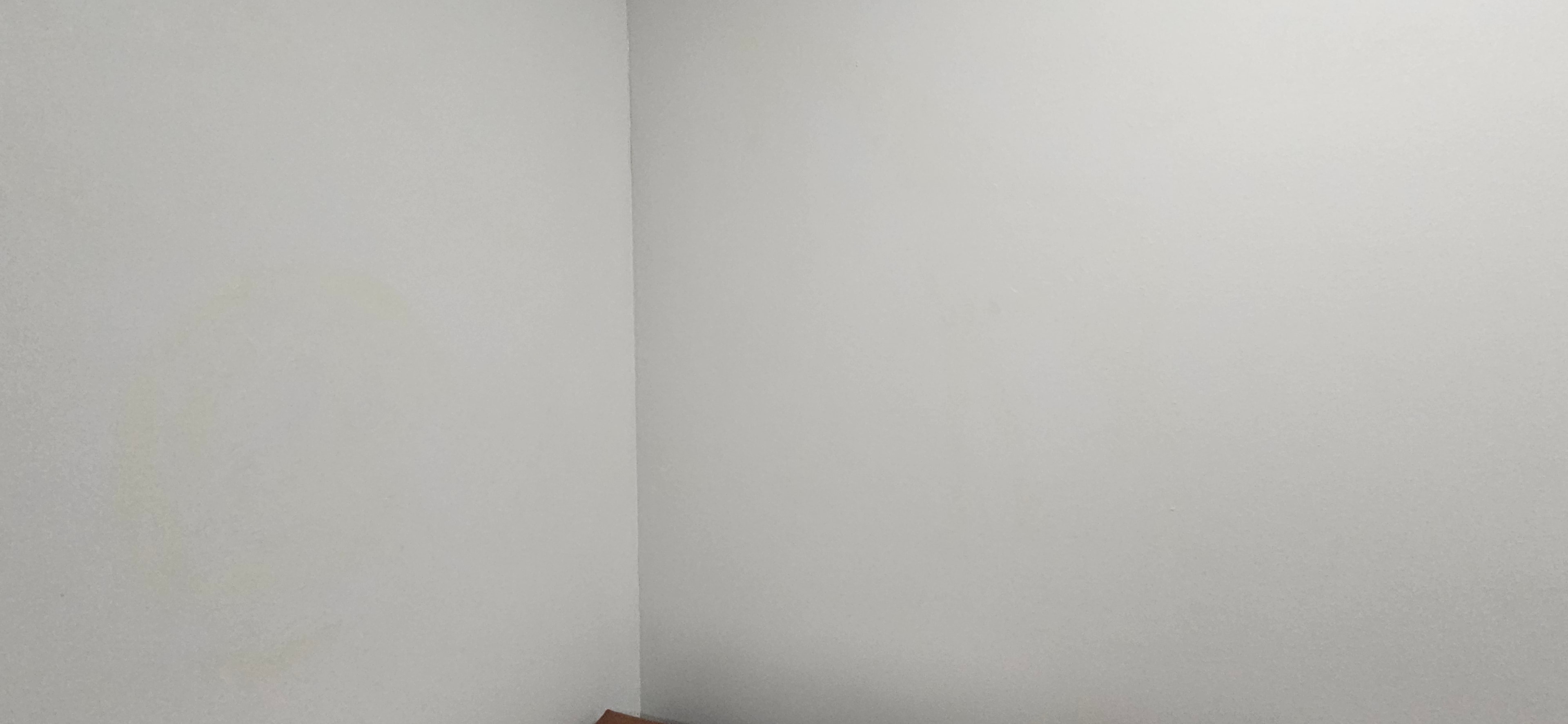 Jungle room in normal light — plain white wall with bench before black light art transformation