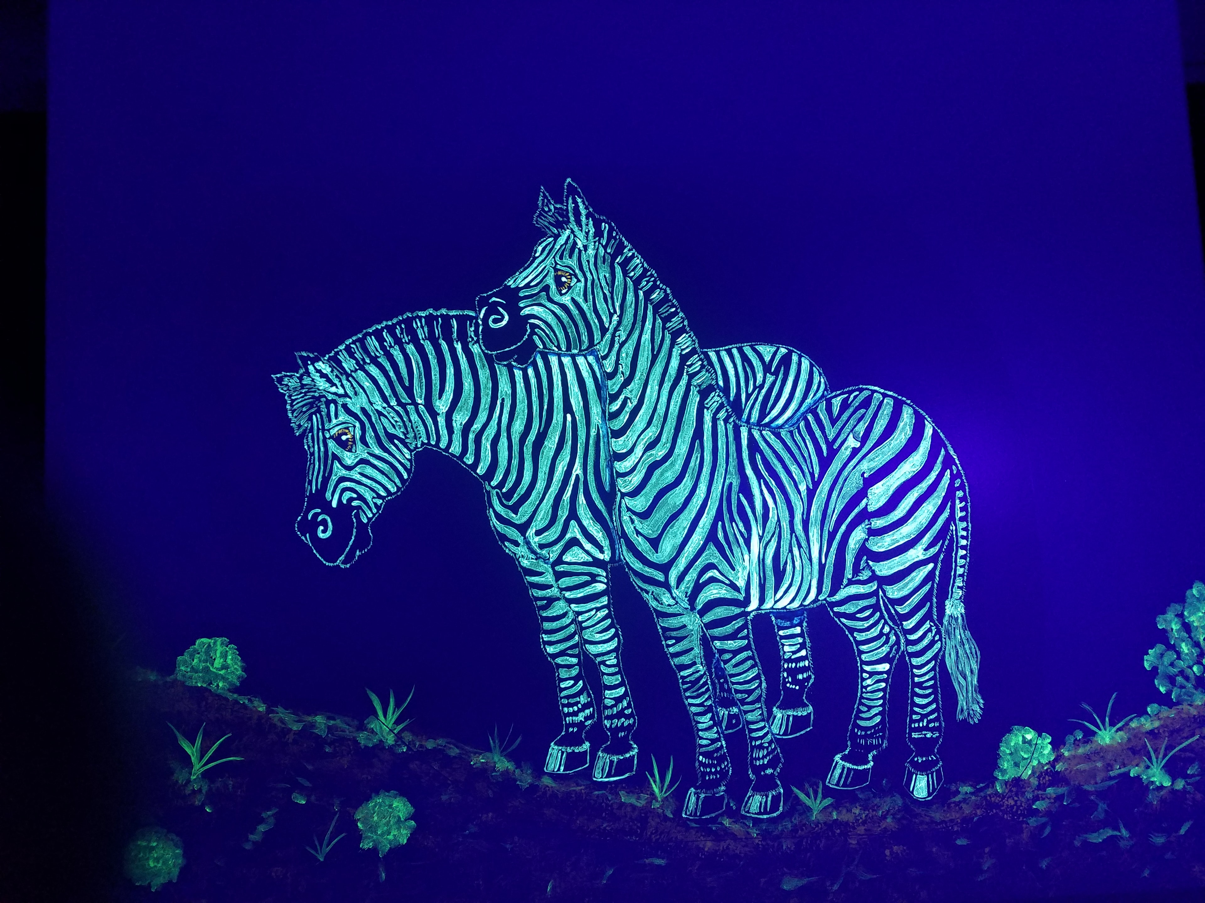 Glowing teal zebras painted on the Jungle Room wall under black light